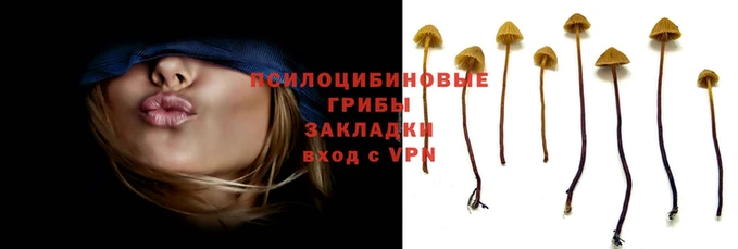 мяу мяу мука Протвино