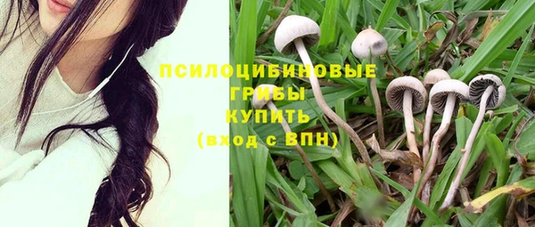 бошки Приозерск