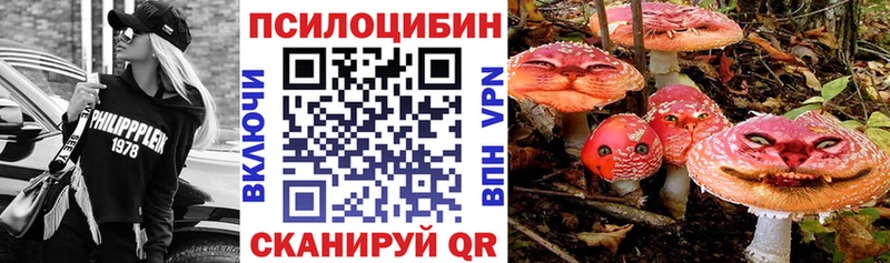 Галлюциногенные грибы Psilocybine cubensis  где купить   Назарово 