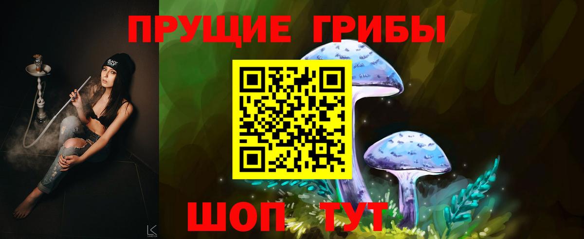 Назарово  Галлюциногенные грибы Cubensis  Вход с VPN  Галлюциногенные грибы мухоморы 